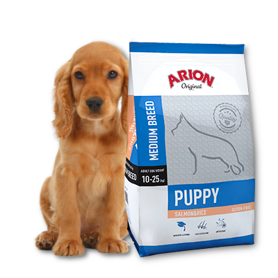 Arion Original Puppy Medium Breed Saumon et Riz 12kg x 2