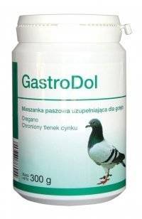 Dolfos GastroDol 300g x2