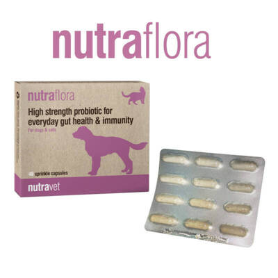 NUTRAVET Nutraflora pour chiens et chats 48 gélules - Probiotique puissant pour un soutien quotidien de la santé intestinale et immunitaire
