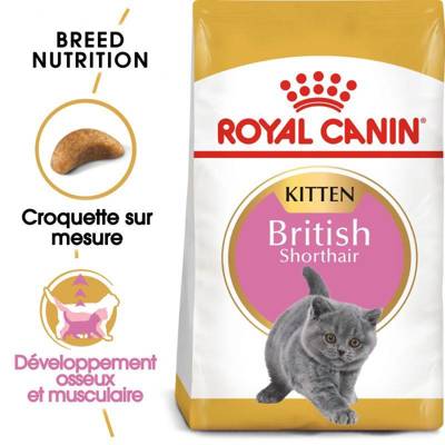 ROYAL CANIN British Shorthair Kitten 10kg