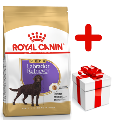 ROYAL CANIN Labrador Retriever Sterilised 12kg + surprise pour votre chien GRATUITES !