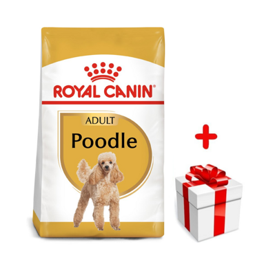 ROYAL CANIN Poodle Adult 1,5kg + Surprise pour votre chien GRATUITES !