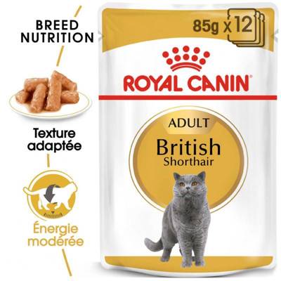 Royal Canin British Shorthair Adult 12x85g 